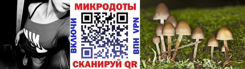 Галлюциногенные грибы GOLDEN TEACHER  Анапа 