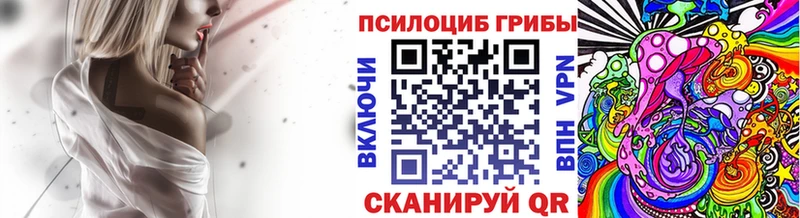 Псилоцибиновые грибы Psilocybine cubensis Анапа